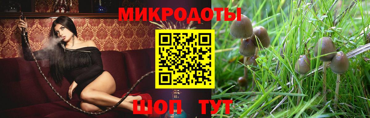 Псилоцибиновые грибы мицелий Кропоткин
